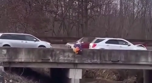 Two Road Ragers Fall Off A Bridge During A Fight