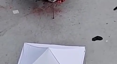 Just In Time For Christmas!