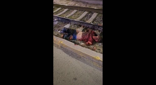 the train of the paim