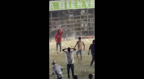 mister fucked fucked by angry bull