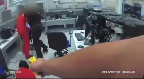 Palestine protestor hits cop with sledgehammer