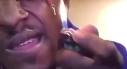 Keep Your Eye On The Firecracker