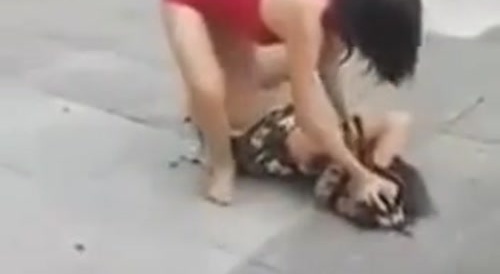 Two girls fighting over panties or something like that