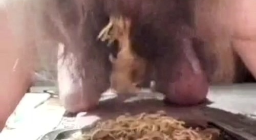 Man ate pasta with feces and urine.