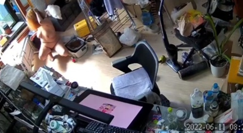 IPCAM weird otaku woman