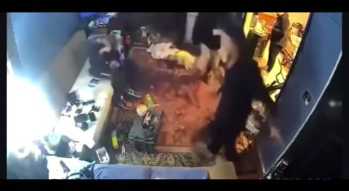 Unprovoked axe attack