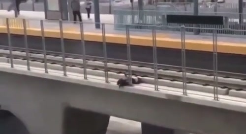 Back with a BANG! Marcellos 3rd stunt