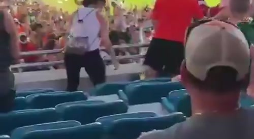 People save falling cat with US flag