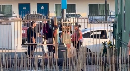 immigrants barking like dogs