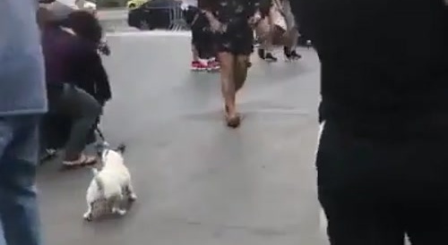 Girl got pooped face