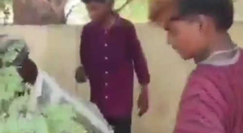 Brutal: Group Of Guys Attacked A Man With Machetes