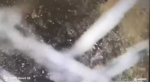 The accident that killed 13 young school children