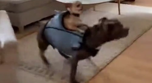 How To Control The World