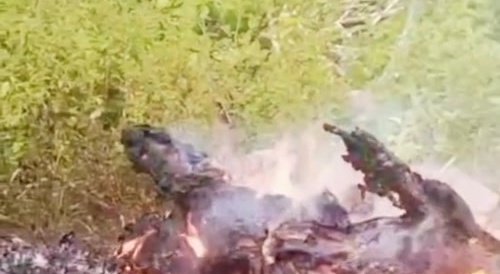 Bro got cooked literally