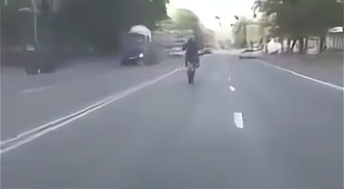 Biker Showing Off Gets Cut in Half - Xtreme Gore