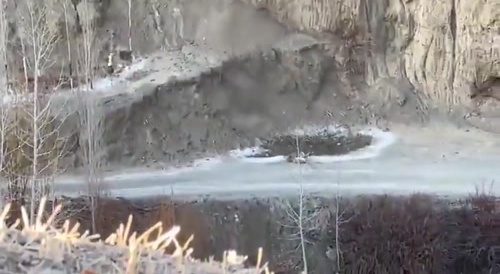 Snow leopard hunts a sheep