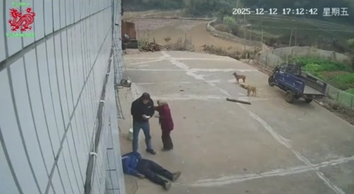 HopSing&acute;s iron fist