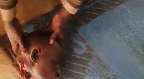 Poor Fucker Woke Up Dead On New Years Day