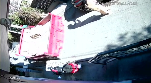 Some Are Alive Just To Give Us Enertainment