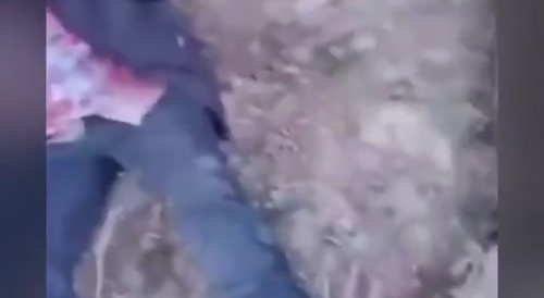 cartel shoots 3 guys