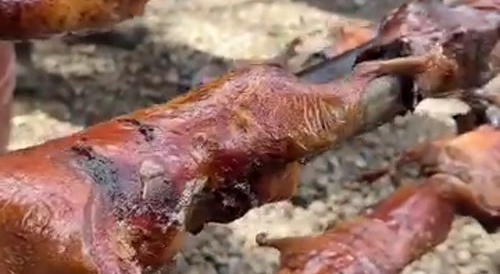 Eating Cooked Rat in Per&uacute;