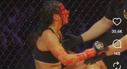 Bloody mma