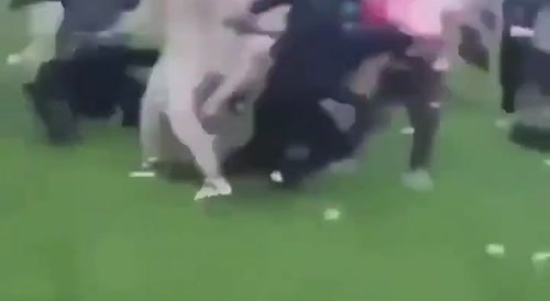 Fun in the Country-side