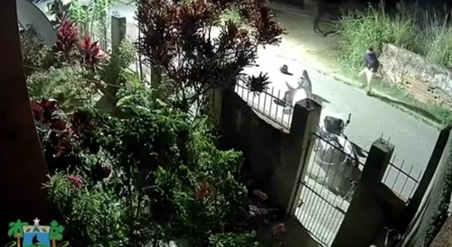 2 hitmen are waiting