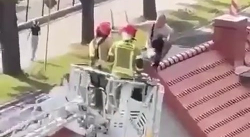 Chosen by the ladies