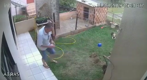 Man blows up backyard to kill cockroaches.