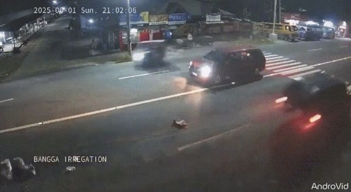 women struck by car