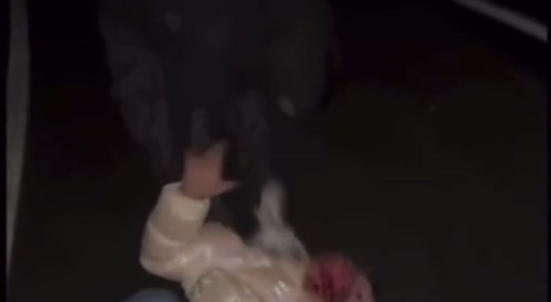 Skinheads beat up a pedophile