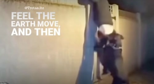 Burglar VS Rottweiler