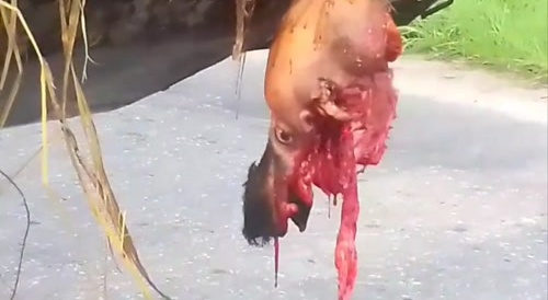 It Just Wasn't His Day