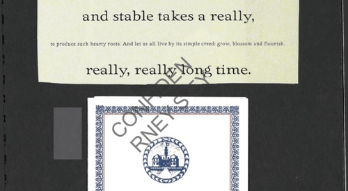 Epstein Files: Diary 3