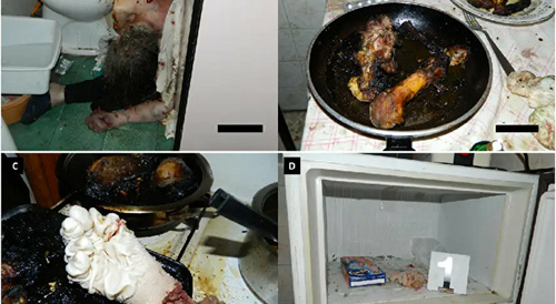 Son Kills, Necros, Eats Mommy