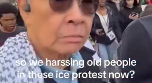 Asian elder joined an anti-ICE protest