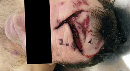 Deer Don't Accept Checks