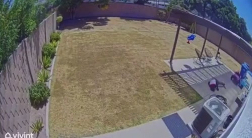 Home intruder gets one tapped