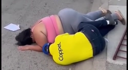 Little jewels of Mexico