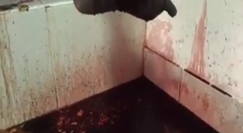 Blast From The Past, Kaotic Style!