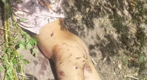 Lioness Dislikes Visitors