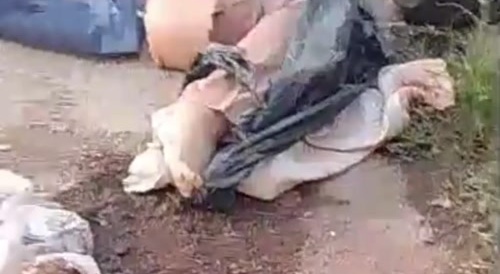 Woman found in pieces