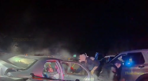 Police Dog To The Rescue