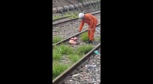 Train Track Body Dump