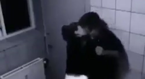 between slaps and kisses