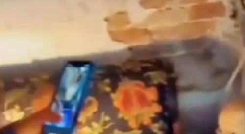 a man and his 100 corpses