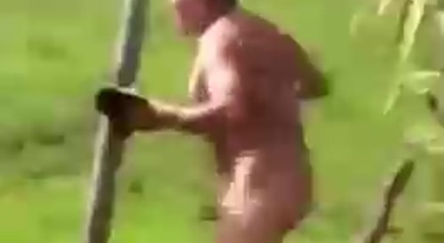 Now We Know What Safado Means