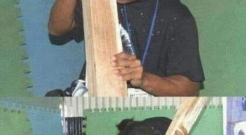 woman eating piece of wood