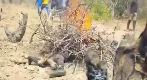 Pedo Gets Burned Alive